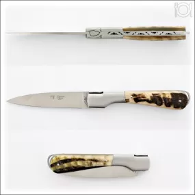 Corsican Sperone Pocket Knife Dark Ram Horn Tip